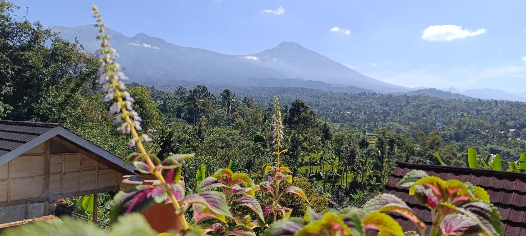 Tetebatu Terrace Homestay Экстерьер фото