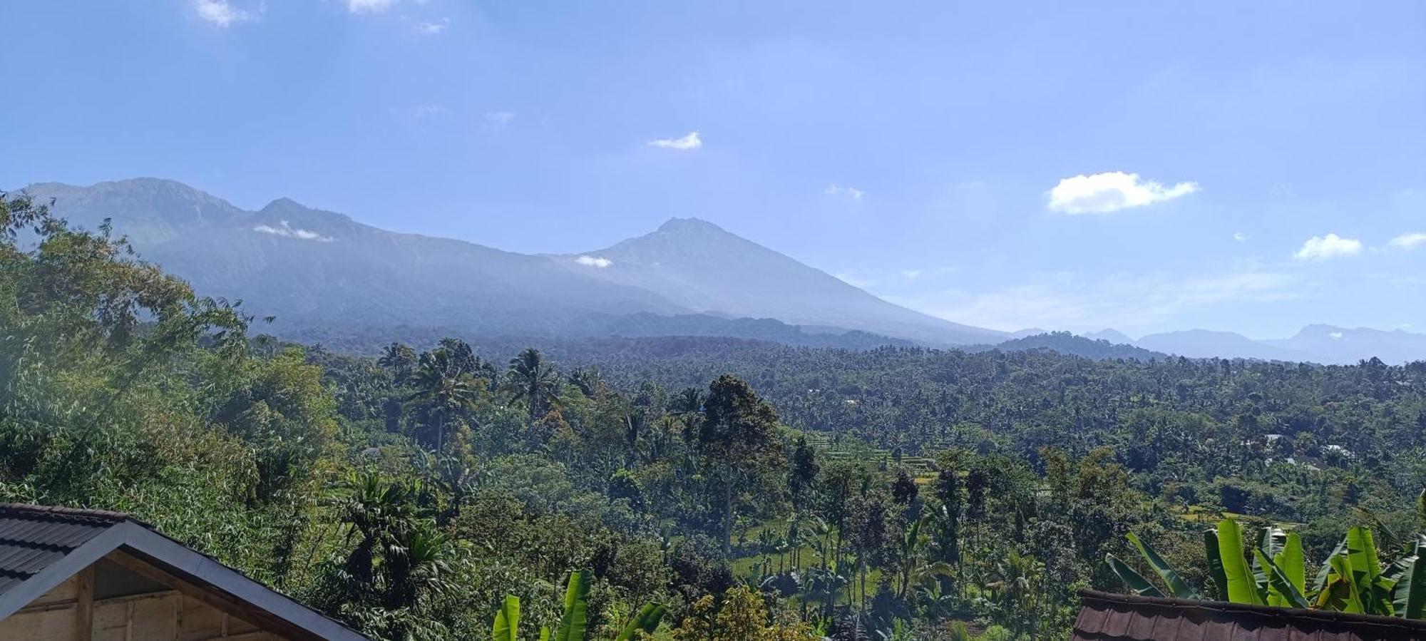 Tetebatu Terrace Homestay Экстерьер фото